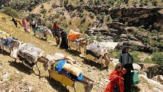 Migration of the Nomadic family to the Mountains (Iran 2023)