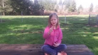 five fantastic family activities for under $25.00