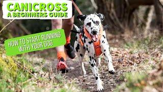 How to GET STARTED in CANICROSS