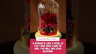 A woman is like a rose.If you take good care of her, you will see love blossom