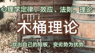 木桶理论‖ 心理学定律、效应、法则、理论