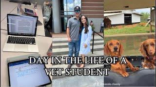 DAY IN THE LIFE OF A VET STUDENT: living away from campus, taking care of a farm, + riding horses