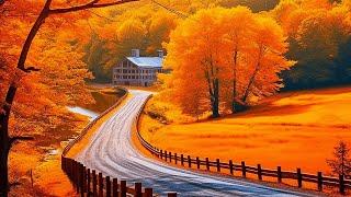 Welcome to November FallGolden Autumn Morning Dawn  Autumn Scene, Piano Music Gives You Goosebum