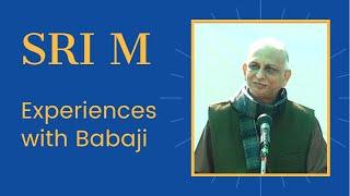 Experiences with Maheshwarnath Babaji (1) | Sri M