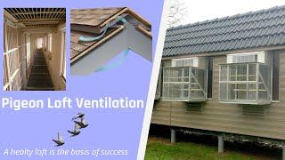 Pigeon Loft Ventilation - "A healty loft is the basis of success"   ENGLISH VERSION 