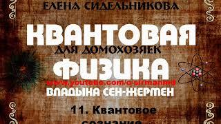 11 Квантовое сознание.  | Квантовая физика для домохозяек.