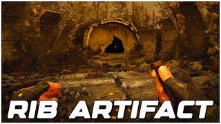 Stalker 2 How to Get the Artifact in Ribs (Behind Seven Seals)