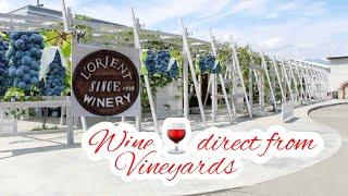 L'orient Winery Yamanashi the region where Japan's first wine was made@nenengjenn5176
