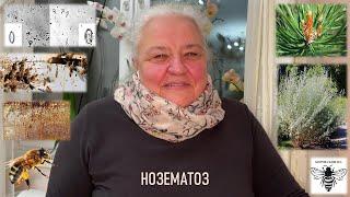 Нозематоз