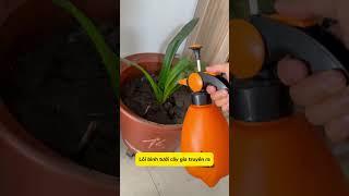 VỆ SINH ĐIỀU HOÀ AI CŨNG LÀM ĐƯỢC #thinhhanh #vesinhdieuhoa