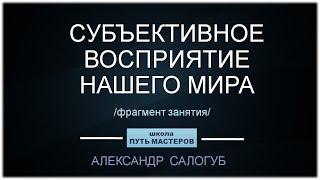 СУБЪЕКТИВНОЕ ВОСПРИЯТИЕ НАШЕГО МИРА / ФРАГМЕНТ ЗАНЯТИЯ  / Школа ПУТЬ МАСТЕРОВ / Александр Салогуб