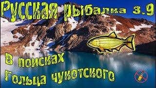 Русская рыбалка 3.9.   В поисках Гольца чукотского - Дорадо золотой