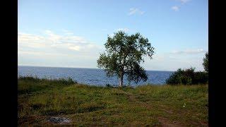 ПРП Возрождение в Новгородской области