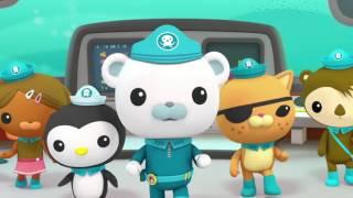 Octonauts: Creature Report - Spider Crabs