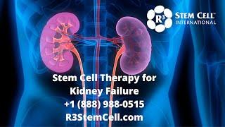 Stem Cell and Exosome Therapy for Kidney Failure with R3 International