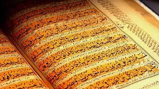 Full Quran 1- 30 Para ,সু মধুর কন্ঠে সম্পূর্ণ ৩০পারা কোরআন তেলাওয়াত। al quran, quran explorer