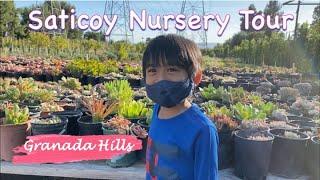 SATICOY NURSERY TOUR In Granada Hills | Fruit Trees, Cactus and Flowers | Los Angeles