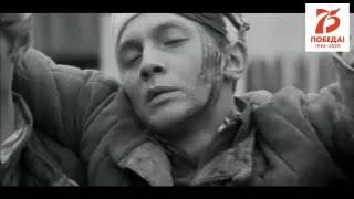 17 ЭХО ВОЙНЫ Александр Перфильев НСЭВ ГОЛОС