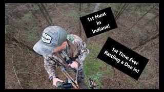 1st Day In Indiana - I Rattled in a Doe