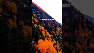 您知道中國秋天最美的八大紅葉勝地嗎？特別是最後一個簡直美楓了#旅行推薦官 #旅行 #大美中國 #大美中國 #旅遊景點推薦