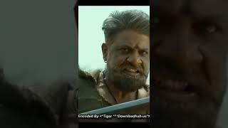 movie review/movie scenes/movie clips/, South Indian cinema damdar action #shortsfeed #viral #movie