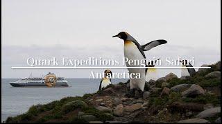 Quark Expeditions Review | Antarctic Cruise Highlights