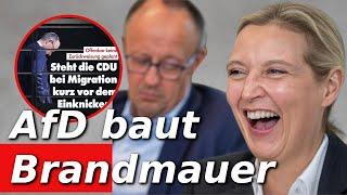 AfD baut eine Brandmauer gegen die Union – Mit Merz nicht!