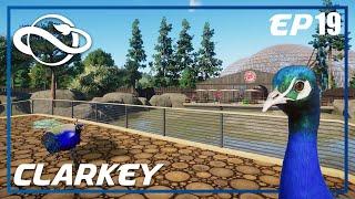 Cafe Peacock Enclosure  - Planet Zoo Sandbox - EP19