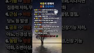 마음이 편해야 몸도 건강하다#인생명언#좋은글#멋진글#명언#멋진말씀#삶의지혜#인생가이드#공감#격언#공감글귀#관계#감성쇼츠#감성#마음#건강