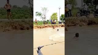 Natural Swimming pool in my village ! #masti #fun #village #river #