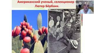Уникальная система клеточного  оздоровления  и омоложения        организма через энергию ДНК 2020 09