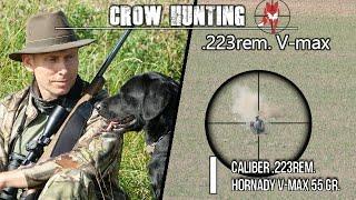 Crow hunting - .223rem 55gr V-max. Very deadly accuracy.