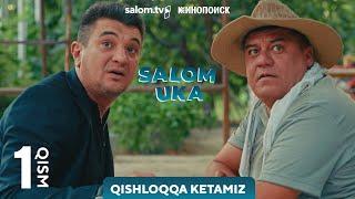 "Salom Uka" seriali | Kinopoiskda tomosha qiling