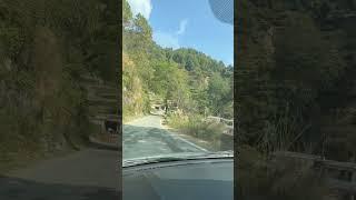 Evergreen song #nature #nature #song #travel #shortvideo #mountains #viral #shorts