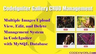 Multiple Image Upload with View, Edit and Delete in CodeIgniter