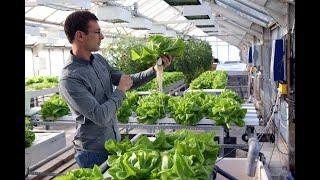 Agriculture urbaine à Gembloux Agro-Bio Tech : visite de la plateforme WASABI