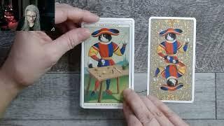 Marseille Cat Tarot Deep Dive GIFT Reading