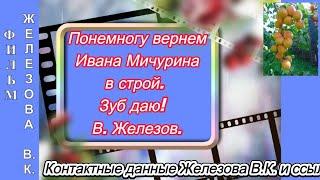 Понемногу вернем Ивана Мичурина в строй.  Зуб даю!  В. Железов.