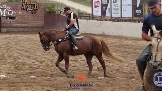 MELHORES MOMENTOS DO 1° DIA CLASSIFICAÇÃO PROFISSIONAL PARQUE BEZERRA MARINHO | VAIDEBET PORTAL 2023