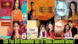 Top 10 Probably Forgotten Old Zee World Series|Let’s Go Back To The Memory Lane|All About Zeeworld.