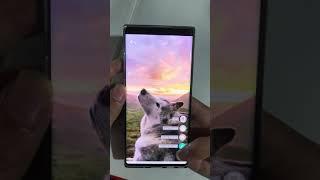 Husky 3D Parallax Live Wallpaper - 4K Background