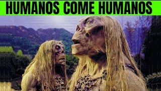 800K AÑOS EN EL FUTURO LOS HUMANOS SON MONSTRUOS - La maquina RESUMEN pelicula por un gatito