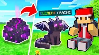 Wir adoptieren ELEMENT DRACHEN in Minecraft!