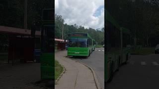 МАЗ-105Респект водителю!#maz #automobile #liaz