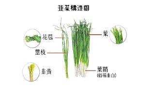 20250222 有人敲碗：【聯電、達方、文曄、所羅門】。