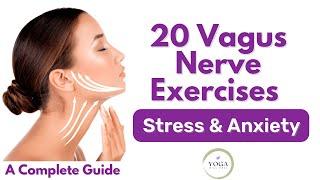 20 Vagus Nerve Exercises for Stress and Anxiety: Complete Guide to Help Rewire Brain