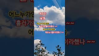 #허영란날개#