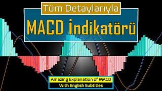 How to use the MACD indicator? MACD indicator explained, MACD indicator settings, MACD strategy...