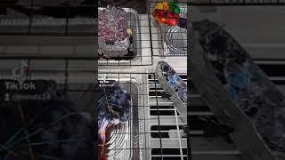 ICE DYE | EYESPOTEE V