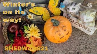 SHEDWARS21: GARDENING OCTOBER 1: Why you should prepare for frosty weather.